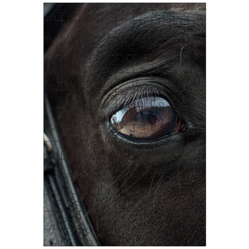 фото Магнитный пазл 27x18см."лошадь, глаз, зеркало" на холодильник lotsprints