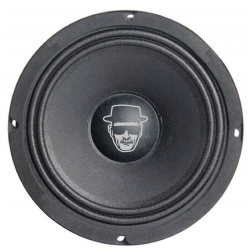 Акустика среднечастотная Kingz Audio C10H15N-65 2 динамика 165см 429000₽