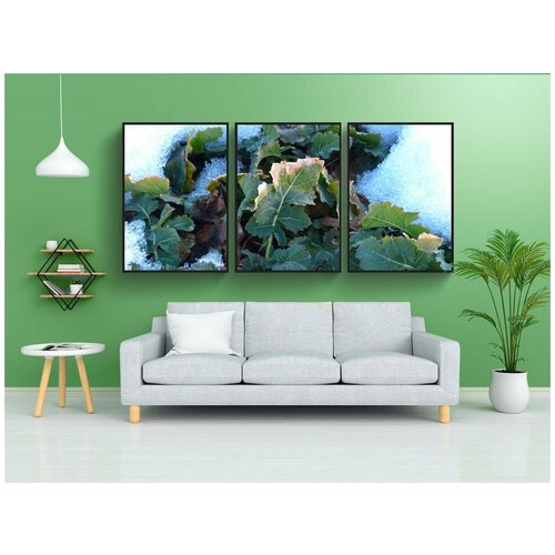 фото Набор модулных постеров для интерьера "winterkohl, зимние фрукты, капуста" 60x90 см. в тубусе, без рамки lotsprints