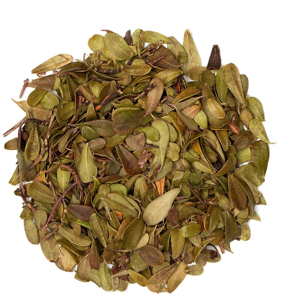 Толокнянка трава лист чай травяной сбор фиточай для здоровья 100 гр