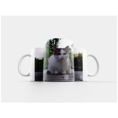 фото Кружка "животное, кошка, думающий кот" 320 мл lotsprints