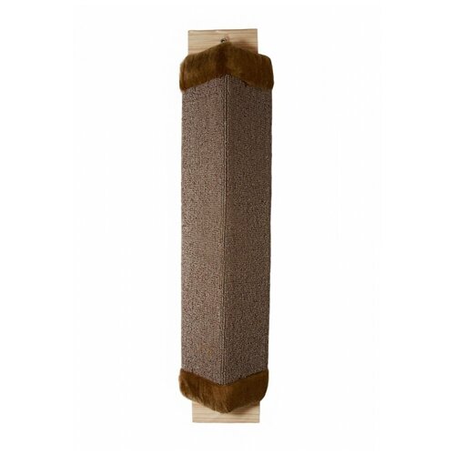 Когтеточка ковровая 