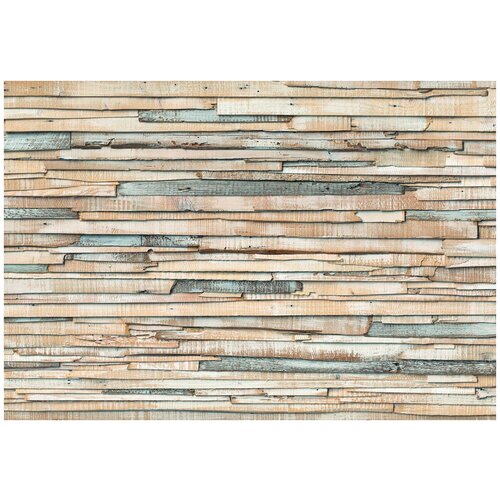 Фотообои бумажные KOMAR Выгоревшее на солнце дерево 368х254 см ШхВ 4380₽