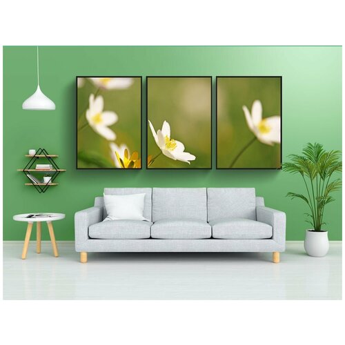 фото Набор модулных постеров для интерьера "ветреница, лесной цветок, белый цветок" 60x90 см. в тубусе, без рамки lotsprints