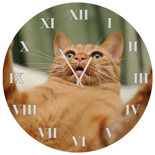 фото Настенные часы svs 4001877