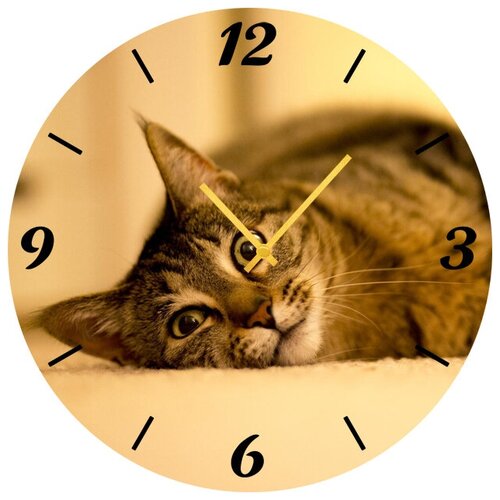фото Svs настенные часы svs 4001867 смотрящий кот