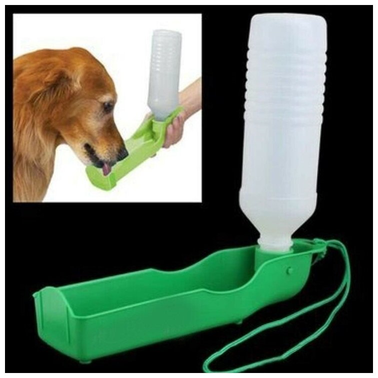 Выберите правильную поилку для собаки: материал, конструкция и размеры