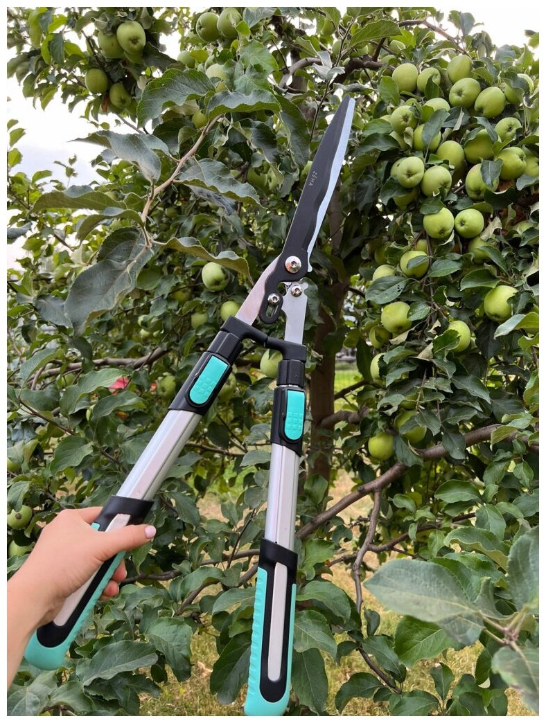 Ножницы ZEMA садовые для живой изгороди, телескопические ZM 4002 - фотография № 10