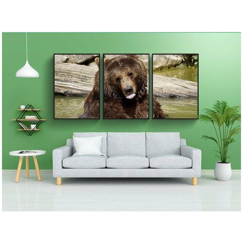 фото Набор модулных постеров для интерьера "нести, бурый медведь, животные" 60x90 см. в тубусе, без рамки lotsprints