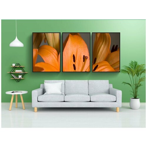 фото Набор модулных постеров для интерьера "лилии, лили, название" 60x90 см. в тубусе, без рамки lotsprints