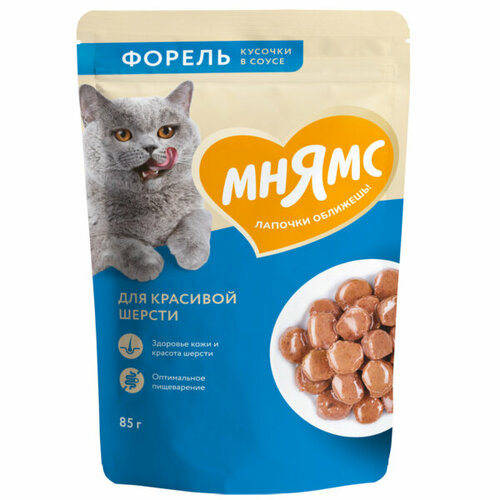 Мнямс Пауч для кошек в виде кусочков в соусе с Форелью для красивой шерсти кошек 85 гр x 12 шт.