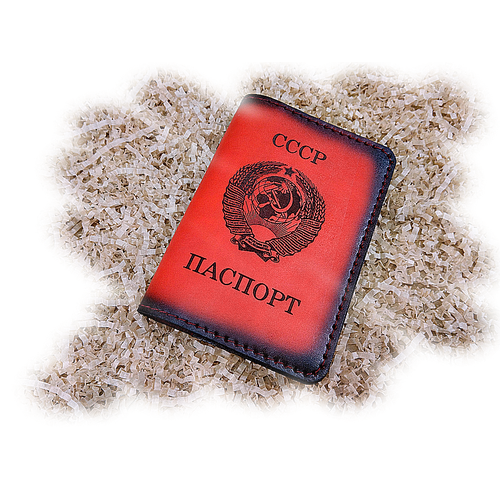 Обложка для паспорта VPS, красный