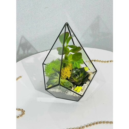 Флорариум капелька Суккуленты Подарок 3690₽