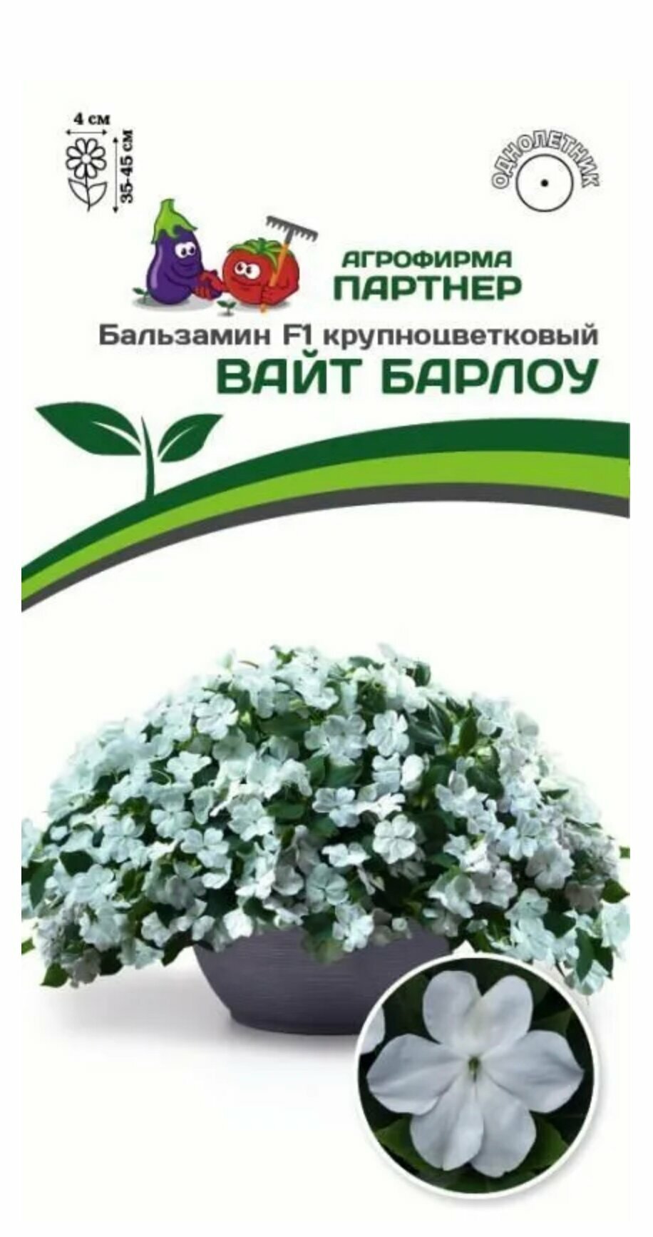 Семена Бальзамина Уоллера крупноцветкового "Вайт Барлоу" F1 (5 семян)