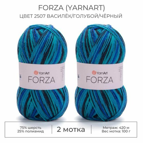 Пряжа Forza (YarnArt), цвет 2507 василёк/голубой/чёрный, 2 мотка