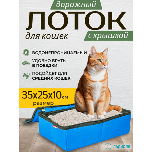 Лоток для кошек с крышкой Ладиоли М-96К, синий, дорожный, 35х25х10 см, размер M