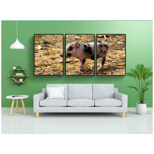 фото Набор модулных постеров для интерьера "свинья, молодые животные, небольшой" 60x90 см. в тубусе, без рамки lotsprints