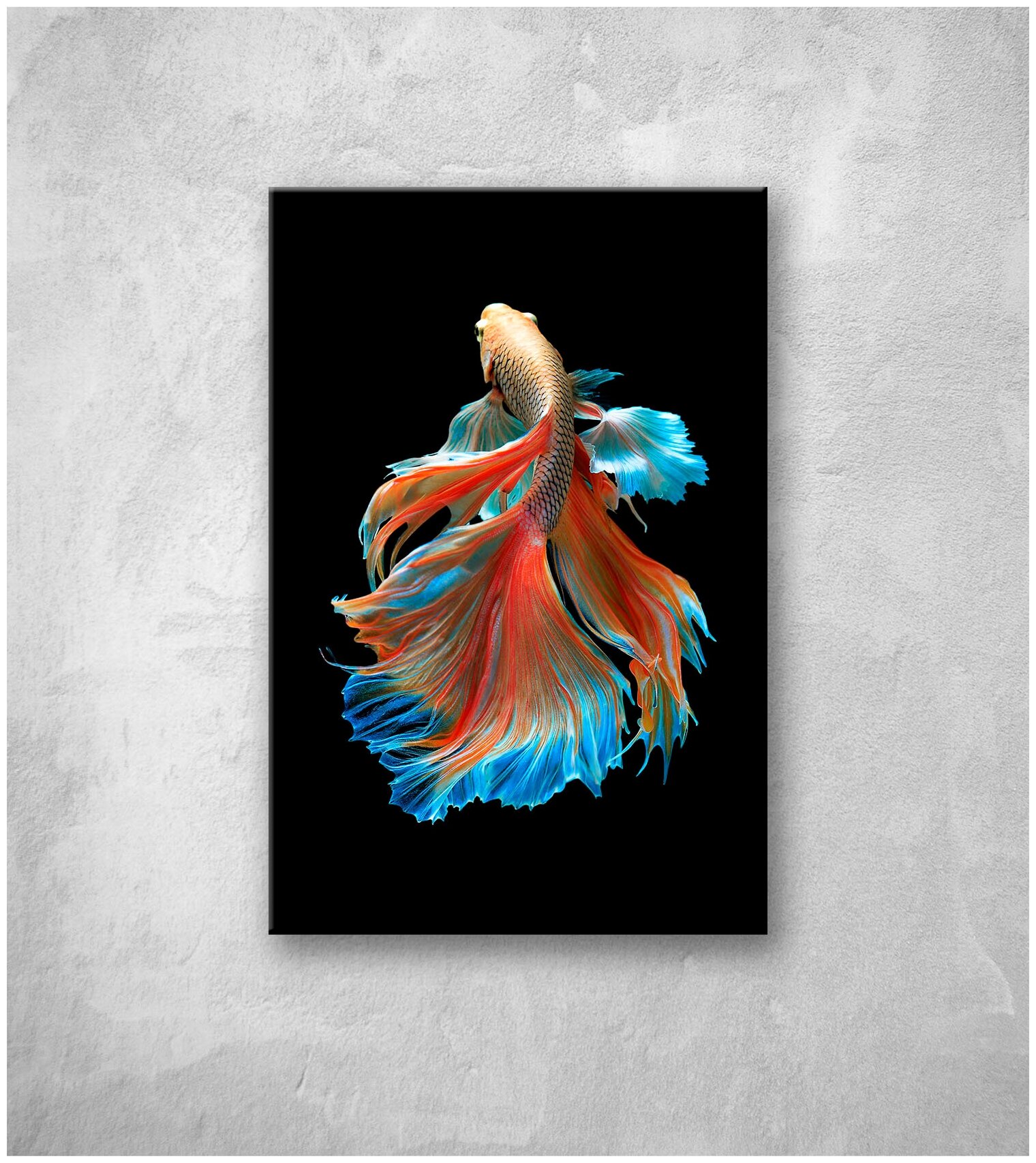 Картина на стекле оптион рыбка сиам голубая