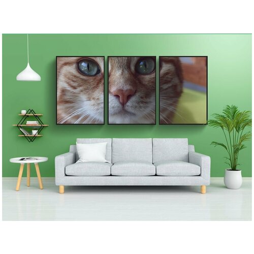 фото Набор модулных постеров для интерьера "кот, красный макрель табби, домашняя кошка" 60x90 см. в тубусе, без рамки lotsprints