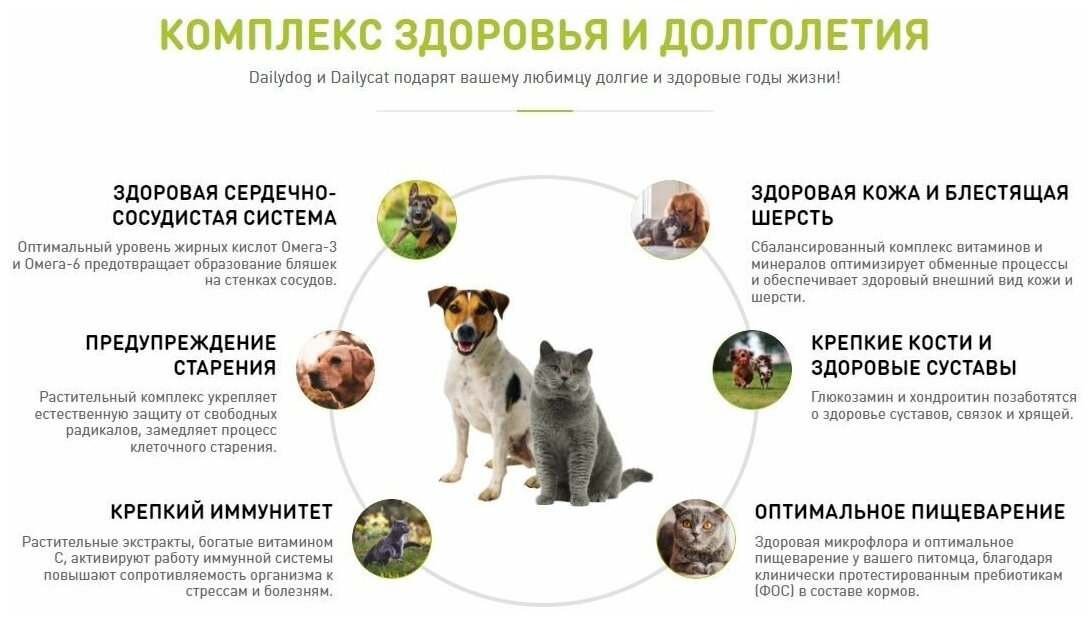 Dailydog сухой корм для взрослых собак средних и крупных пород, индейка и рис (20 кг) - фото №5