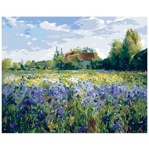 фото Картина по номерам, 60 x 75, ktmk-38539, "живопись по номерам", набор для раскрашивания, раскраска