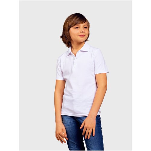 Однотонное поло для мальчика MOR, MOR-05-013-007077, фиолетовое, размер 14 лет