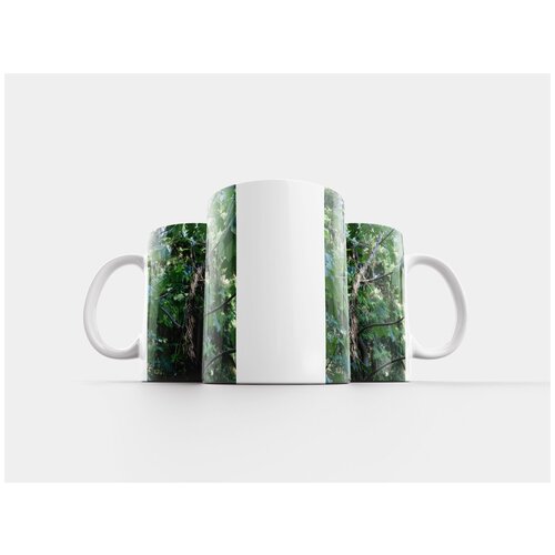 фото Кружка "дерево, деревья, природа" 320 мл lotsprints
