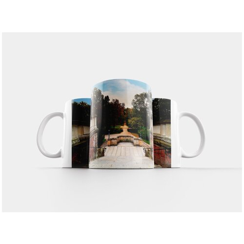 фото Кружка "риза, городской парк, деревья" 320 мл lotsprints