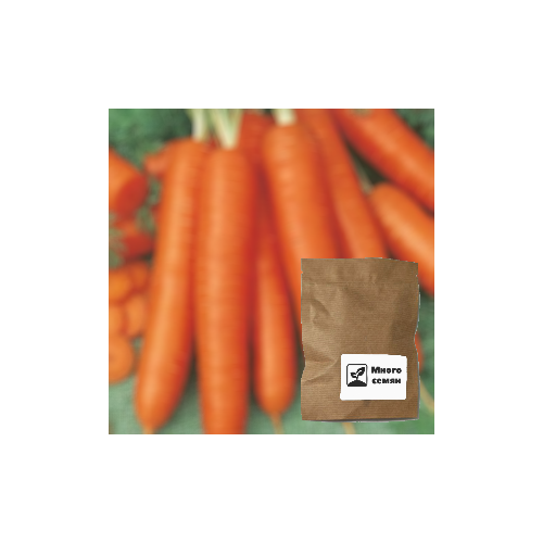 Семена моркови 