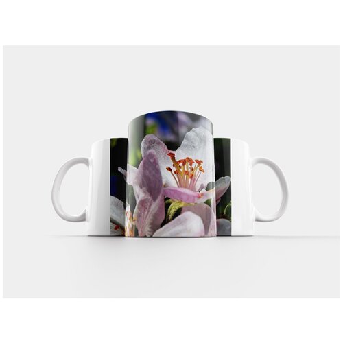 фото Кружка "цветение яблони, макрос, закрывать" 320 мл lotsprints