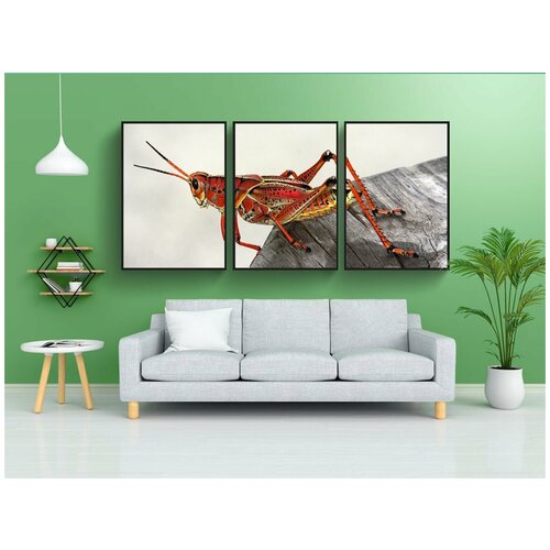 фото Набор модулных постеров для интерьера "кузнечик, насекомое, красный" 60x90 см. в тубусе, без рамки lotsprints