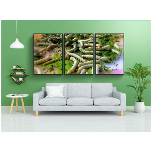 фото Набор модулных постеров для интерьера "тутовый шелкопряд, насекомые, гусеница" 60x90 см. в тубусе, без рамки lotsprints