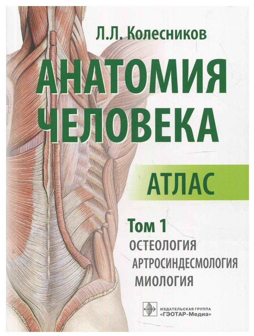 Анатомия человека Атлас Том 1 Остеология Артросиндесмология Миология Пособие Колесников ЛЛ