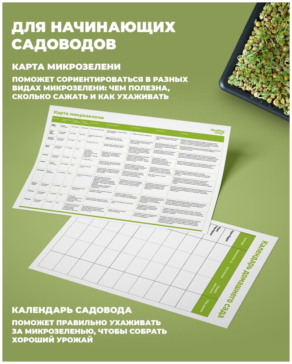 Healthy Way Набор для выращивания микрозелени дома Grass Box. Стеллаж для проращивания рассады и цветов на подоконнике - фотография № 4