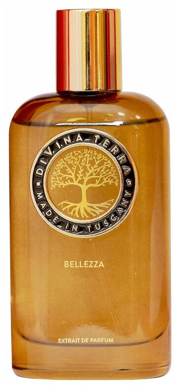 Divina Terra Bellezza Extrait de Parfum 100мл