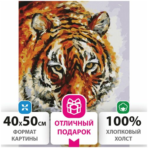 картина по номерам 40×50 см остров сокровищ тигр на подрамнике акриловые краски 3 кисти 662473 Картина по номерам 40×50 см, остров сокровищ «Тигр», на подрамнике, акриловые краски, 3 кисти, 662473