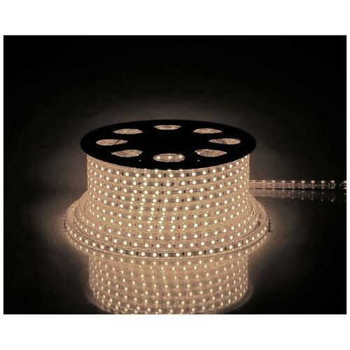 Feron (100 .)    Feron 4, 4W/m 60LED/m 2835SMD   100M LS704 26244