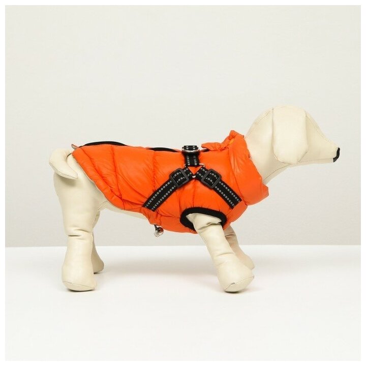 Куртка для собак КНР двухсторонняя, размер 16, спинка 36 см, грудь 46 см, шея 35 см, коралловая - фотография № 16