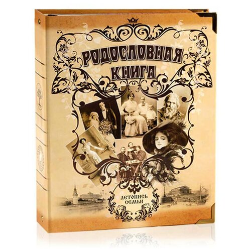 Родословная книга Семейный альбом карт.облож. (подар.упак.) РК-068-с KNP-РК-068-с