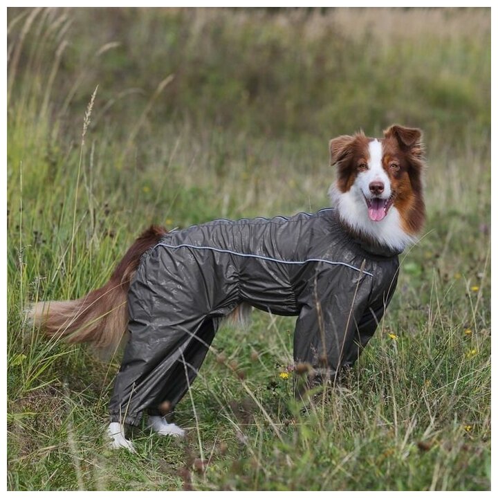 Комбинезон для собак OSSO Fashion, 30-1, (кобель) - фотография № 12
