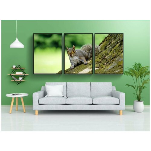 фото Набор модулных постеров для интерьера "серая белка, древесина, животное" 60x90 см. в тубусе, без рамки lotsprints