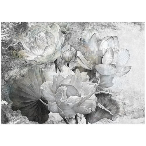 Лотосы черно-белые живопись - Виниловые фотообои, (211х150 см)