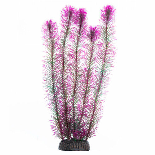 Растение Перистолистник фиолетовый, 400мм, 2 шт.