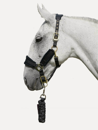 Изображение товара Sweethorse / Сет недоуздок плюс чомбур, для лошадей, черный, COB