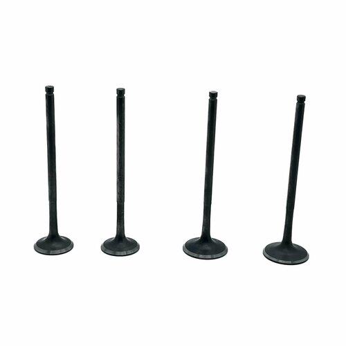 Клапаны (компл. 4шт) NIBBI облегченные ZS177MM (NC250, NC300)