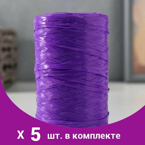 Пряжа 'Для вязания мочалок' 100 полипропилен 400м/100гр (фиолетовый) (5 шт)