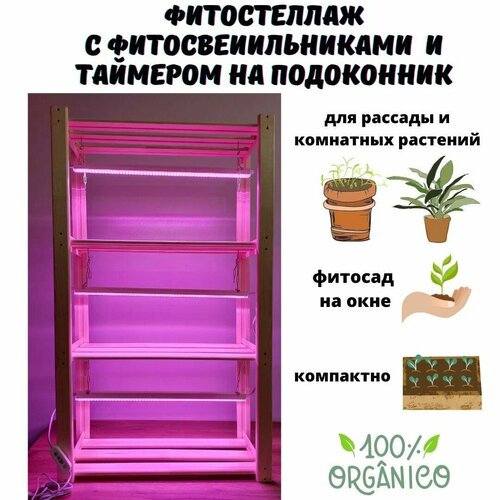 бежевый, белый