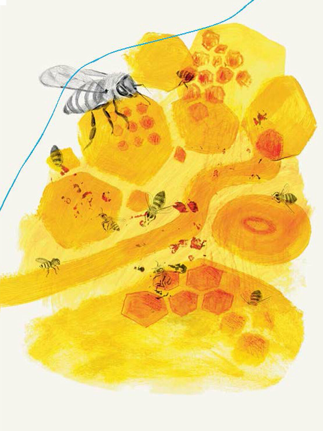 Книга Эффект домино. Невидимые нити природы - фото №9