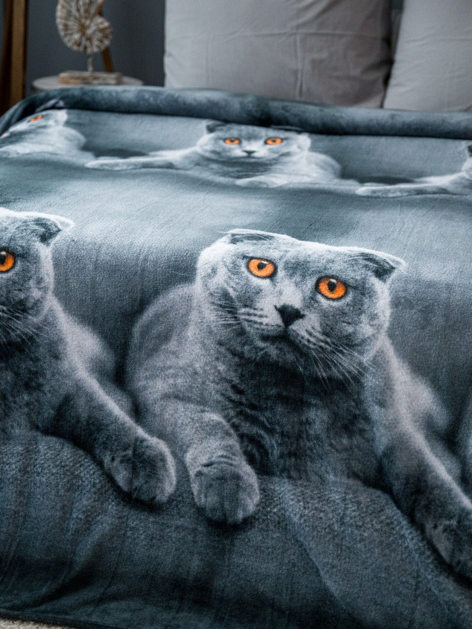 Плед 220х240 Павлина Кот шотландский, шотландец евромакси на диван — фото 1