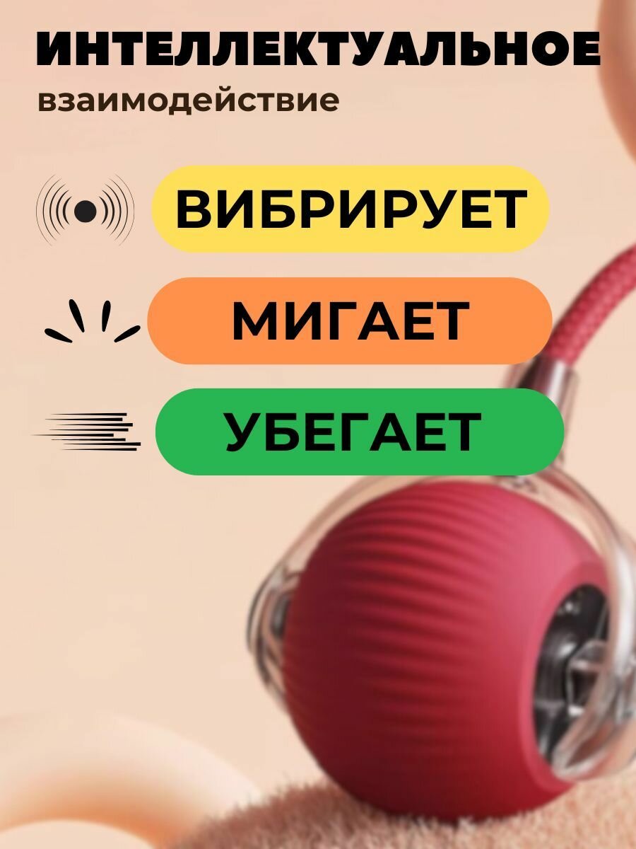 Игрушка для кошек и собак умный мяч интерактивный — фото 1
